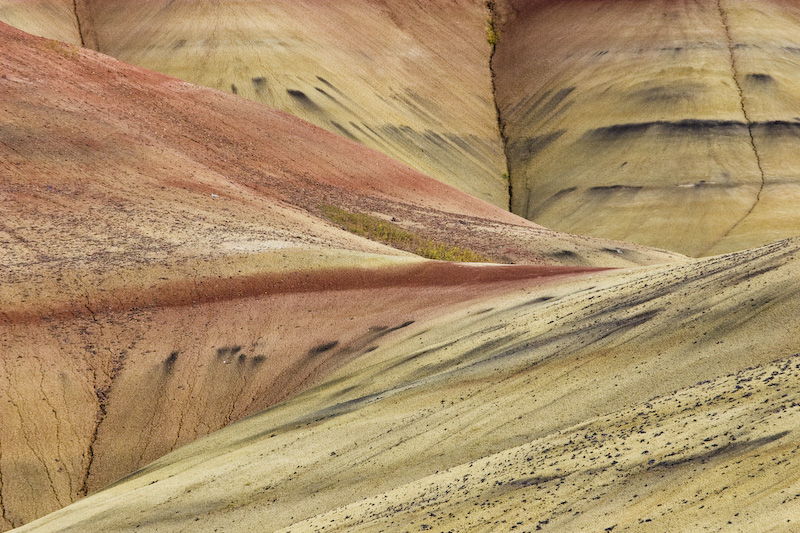 Detail Of The Painted Hills